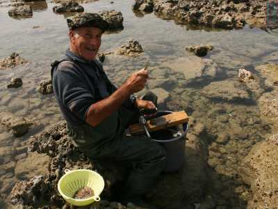 Mola di Bari, anziano pescatore